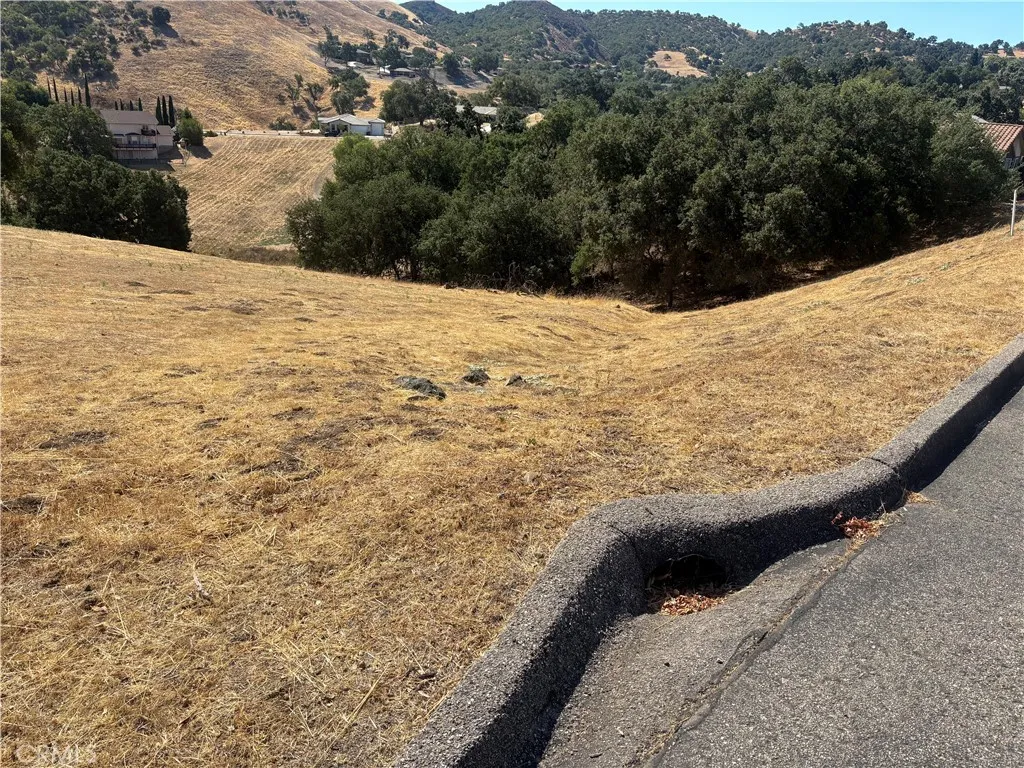 9974 Flyrod lot drainage