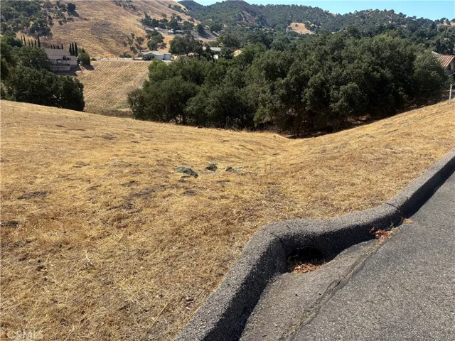 9974 Flyrod lot drainage