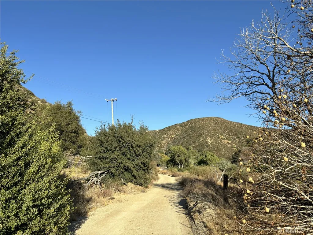 42930 Lake Hughes Road, Lake Hughes, California 93532 home-pic-18