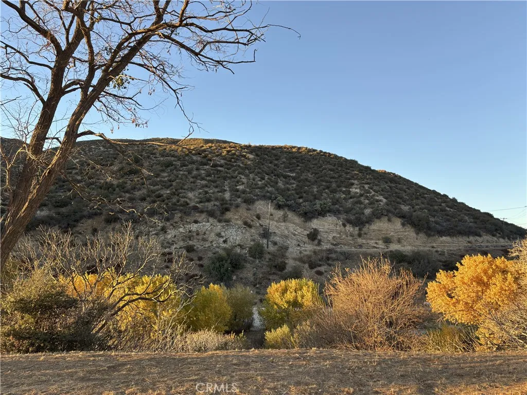 42930 Lake Hughes Road, Lake Hughes, California 93532 home-pic-44