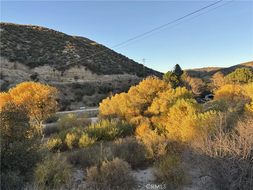 42930 Lake Hughes Road, Lake Hughes, California 93532 home-pic-43
