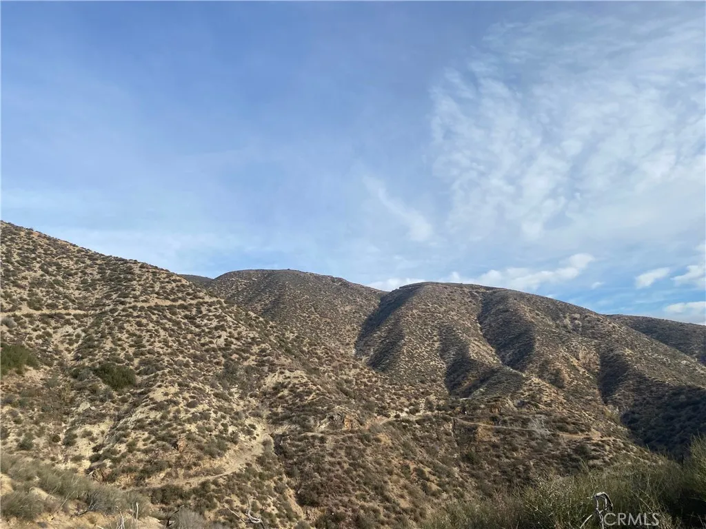 42930 Lake Hughes Road, Lake Hughes, California 93532 home-pic-48