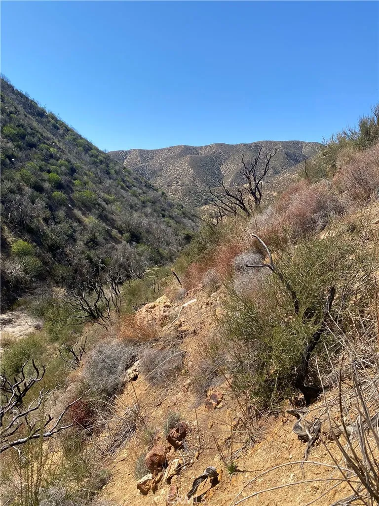 42930 Lake Hughes Road, Lake Hughes, California 93532 home-pic-47