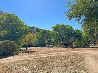 42930 Lake Hughes Road, Lake Hughes, California 93532 home-pic-50