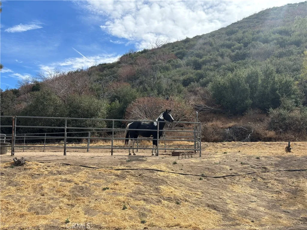 42930 Lake Hughes Road, Lake Hughes, California 93532 home-pic-46