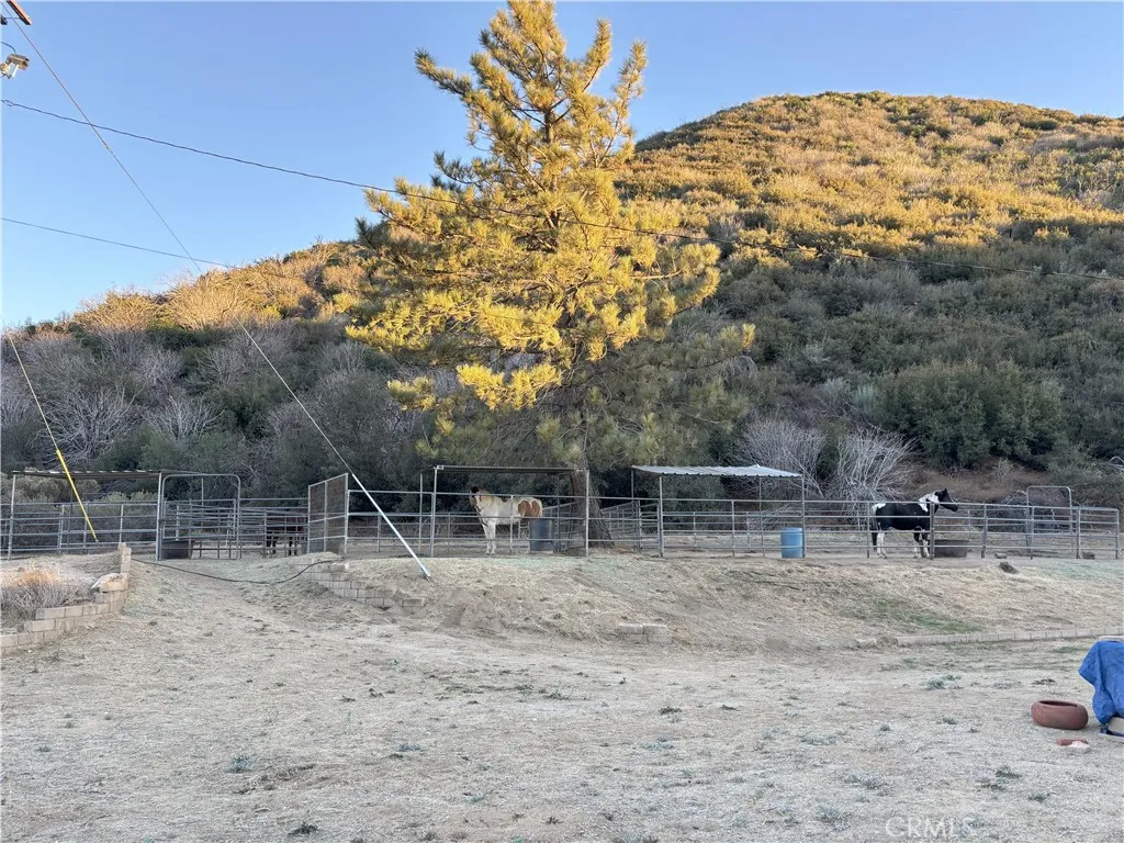 42930 Lake Hughes Road, Lake Hughes, California 93532 home-pic-30