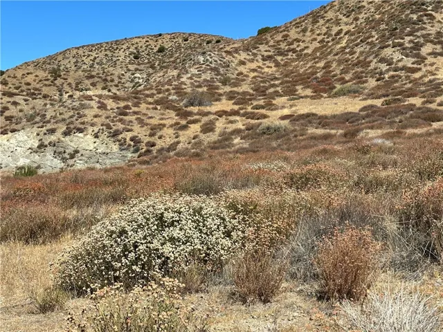 Nestled in the hills of Leona Valley