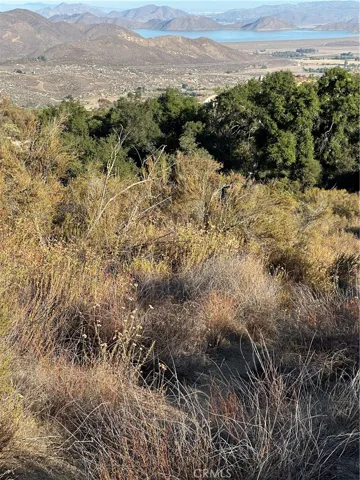 View from the parcel.