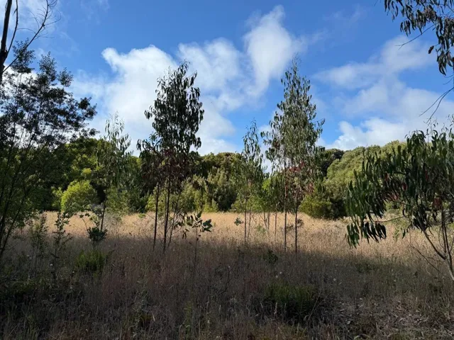 0 Bonita Ave., Half Moon Bay, California 94019 — photo 4