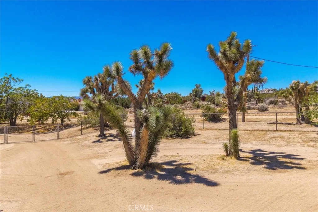 56810 Chipmunk Trail, Yucca Valley, California 92284 home-pic-30