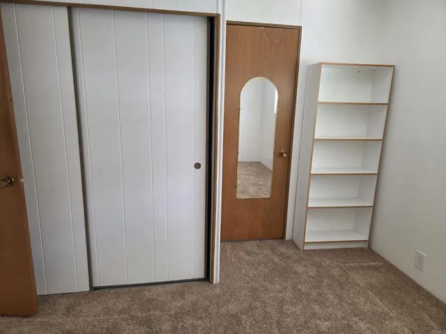 Large bedroom closets