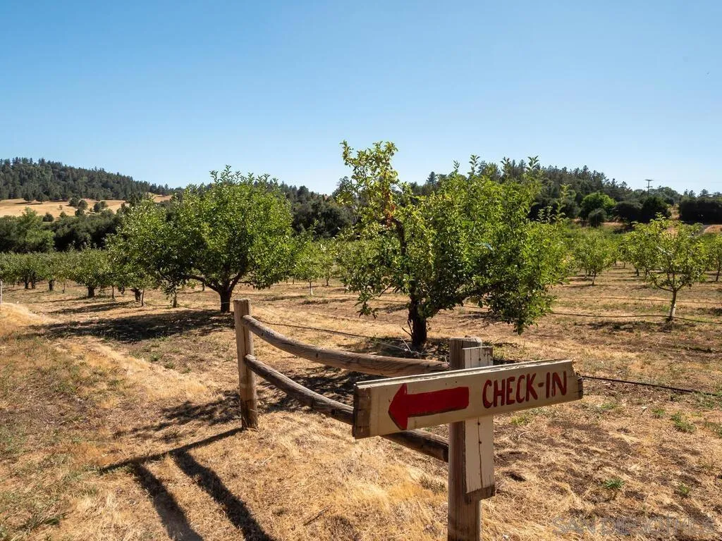 1209 Farmer Road, Julian, California 92036 home-pic-36