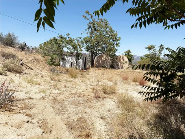 Well Pump Shed 1