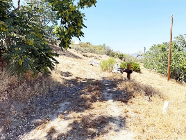 Driveway to Cabin