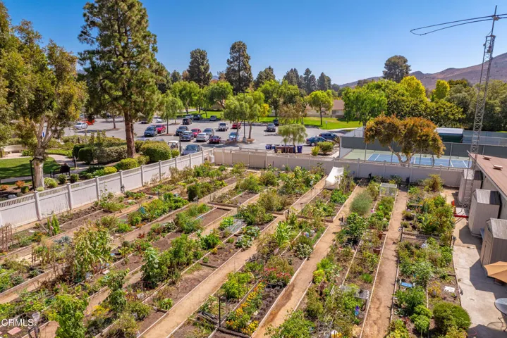 35111 Village 35 Camarillo-42