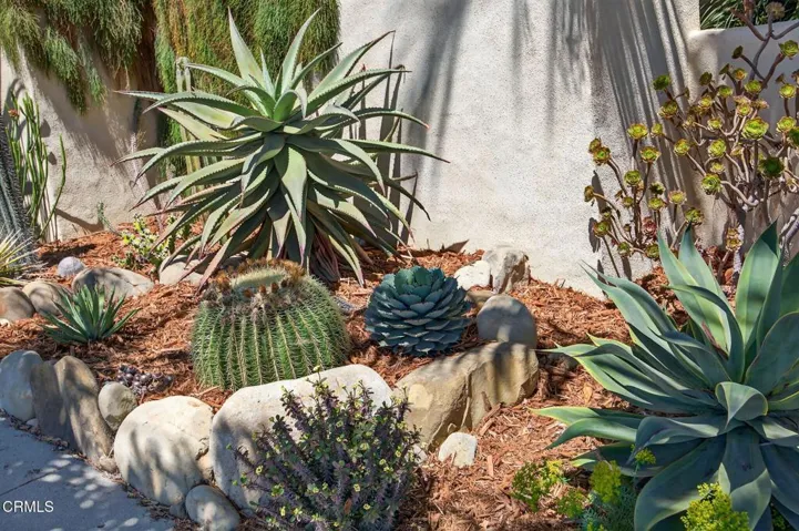 Front Yard Behind Wall
