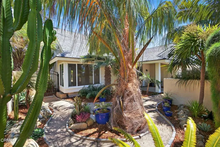 Front Yard