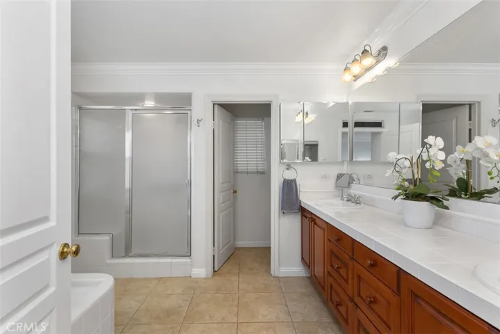 Master vanity with dual sinks and walk in shower