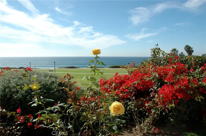 View from Family room..foliage provides privacy and yet view of ocean is stunning.