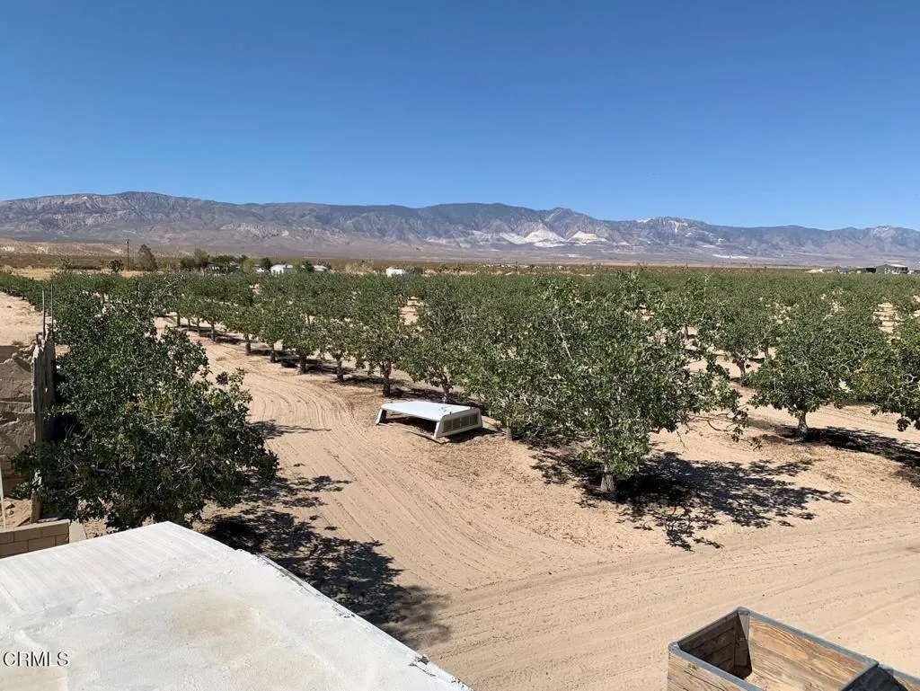 10080 Santa Fe Fire Road, Lucerne Valley, California 92356 home-pic-22
