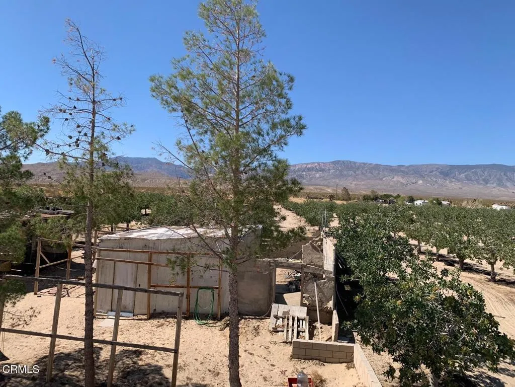 10080 Santa Fe Fire Road, Lucerne Valley, California 92356 home-pic-19