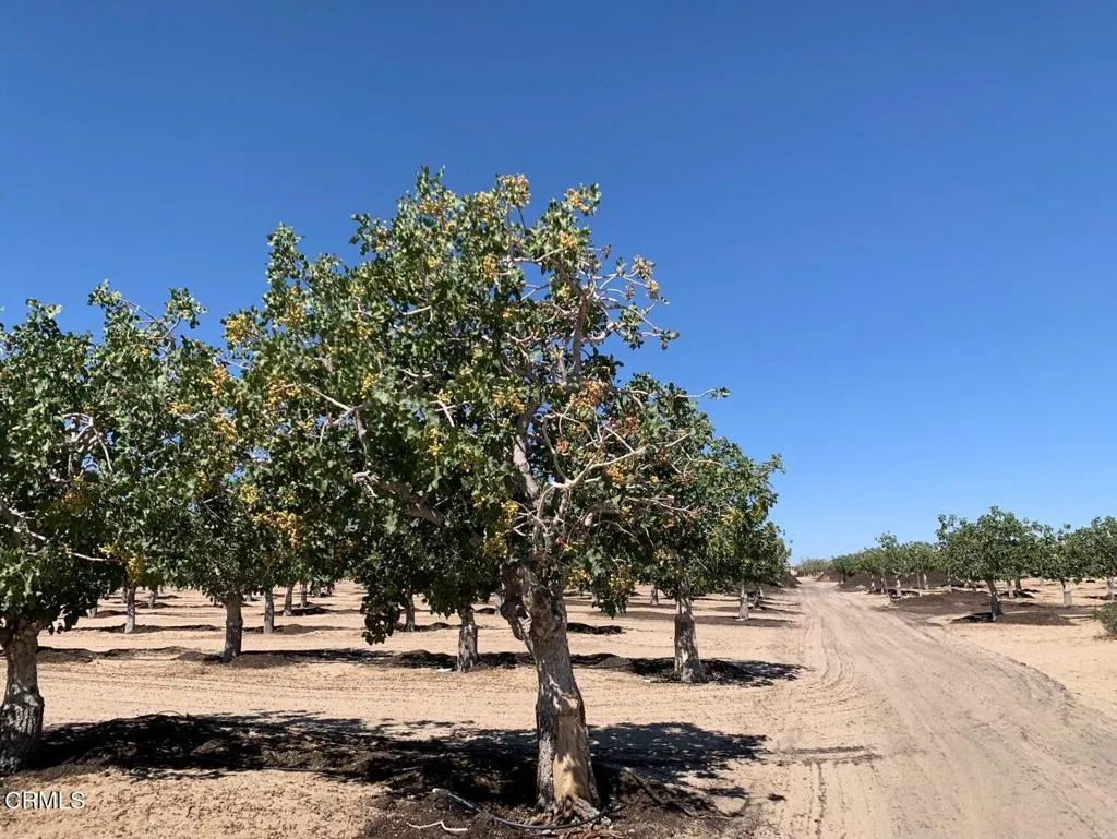 10080 Santa Fe Fire Road, Lucerne Valley, California 92356 home-pic-13