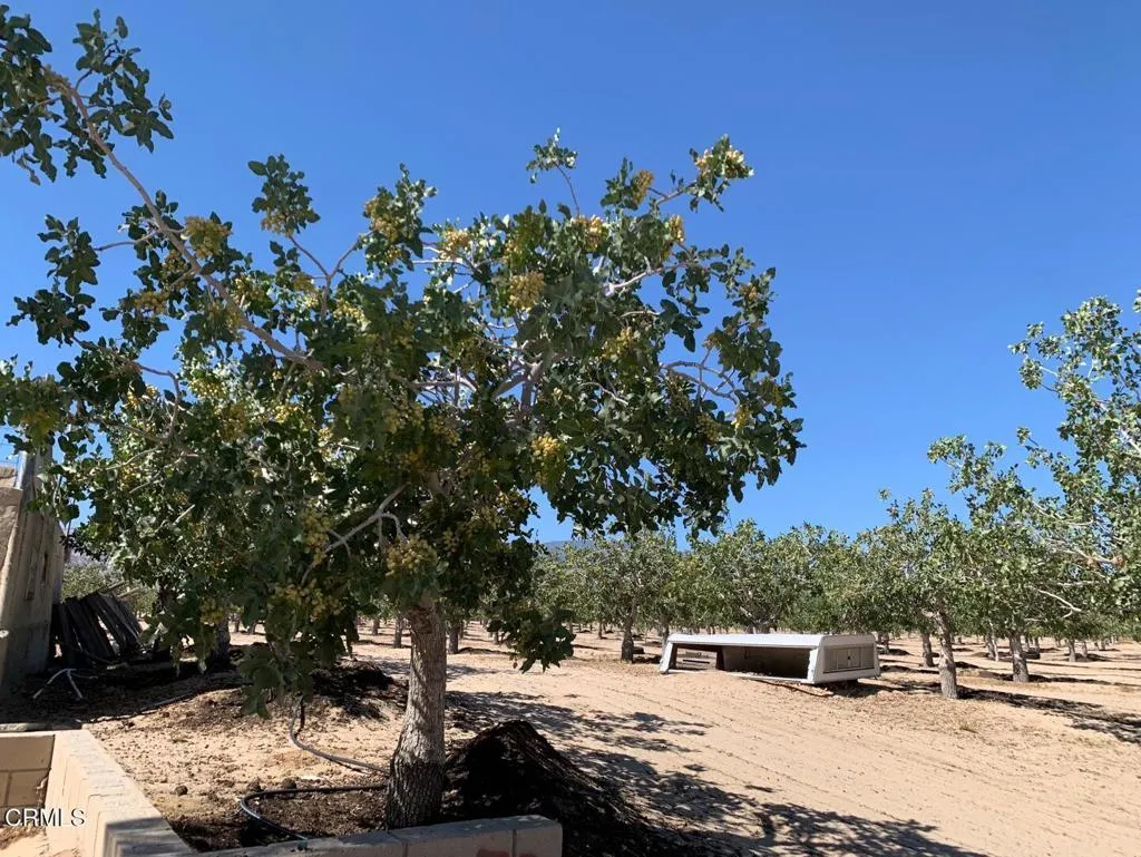 10080 Santa Fe Fire Road, Lucerne Valley, California 92356 home-pic-24
