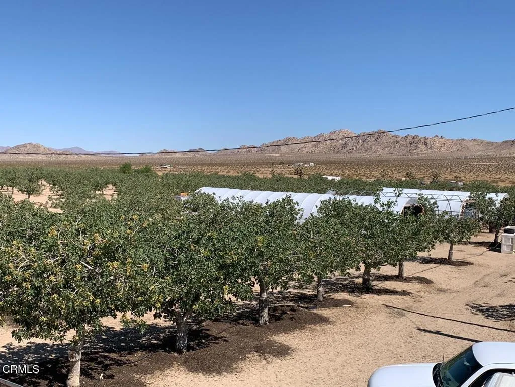 10080 Santa Fe Fire Road, Lucerne Valley, California 92356 home-pic-17