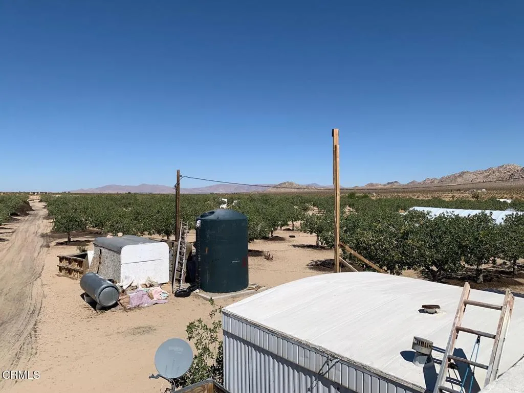 10080 Santa Fe Fire Road, Lucerne Valley, California 92356 home-pic-18