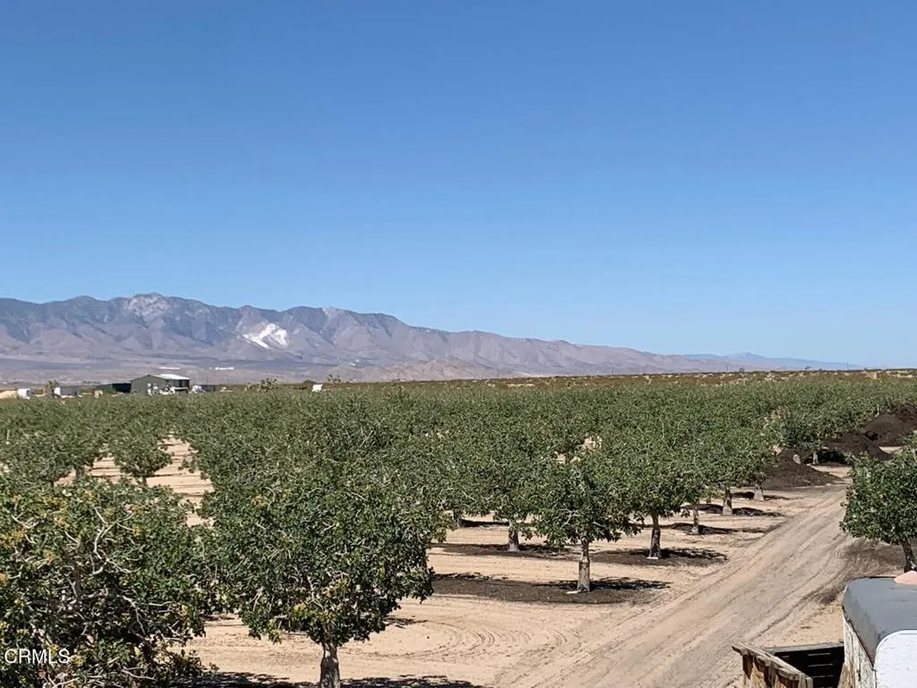 10080 Santa Fe Fire Road, Lucerne Valley, California 92356 home-pic-14
