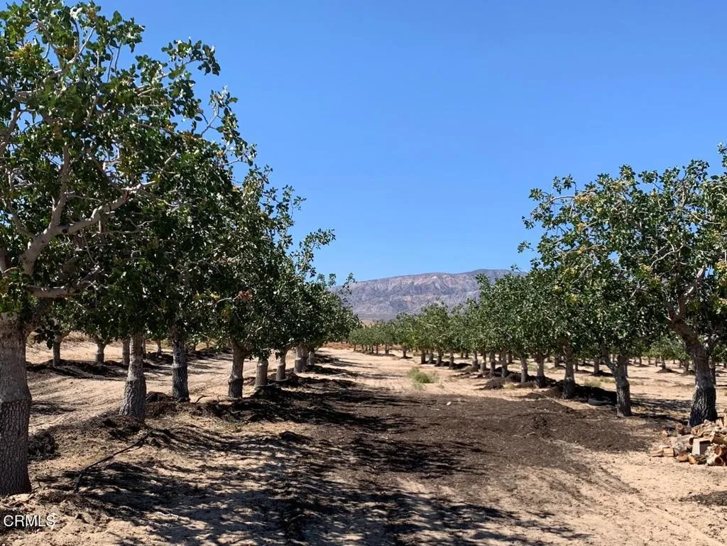 10080 Santa Fe Fire Road, Lucerne Valley, California 92356 home-pic-0