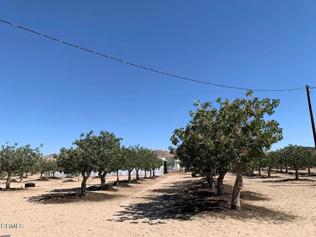 10080 Santa Fe Fire Road, Lucerne Valley, California 92356 home-pic-12