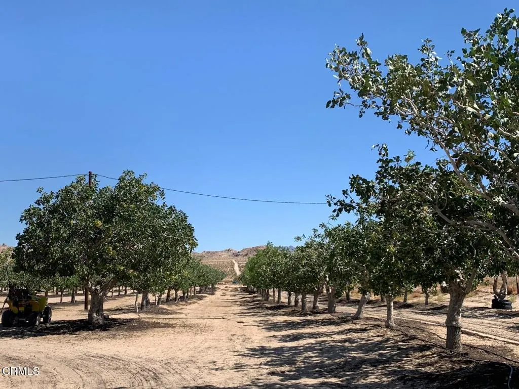10080 Santa Fe Fire Road, Lucerne Valley, California 92356 home-pic-30