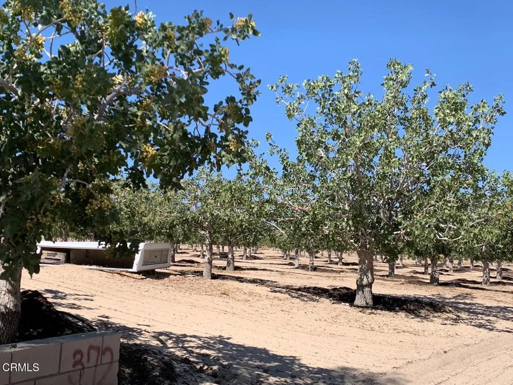 10080 Santa Fe Fire Road, Lucerne Valley, California 92356 home-pic-25