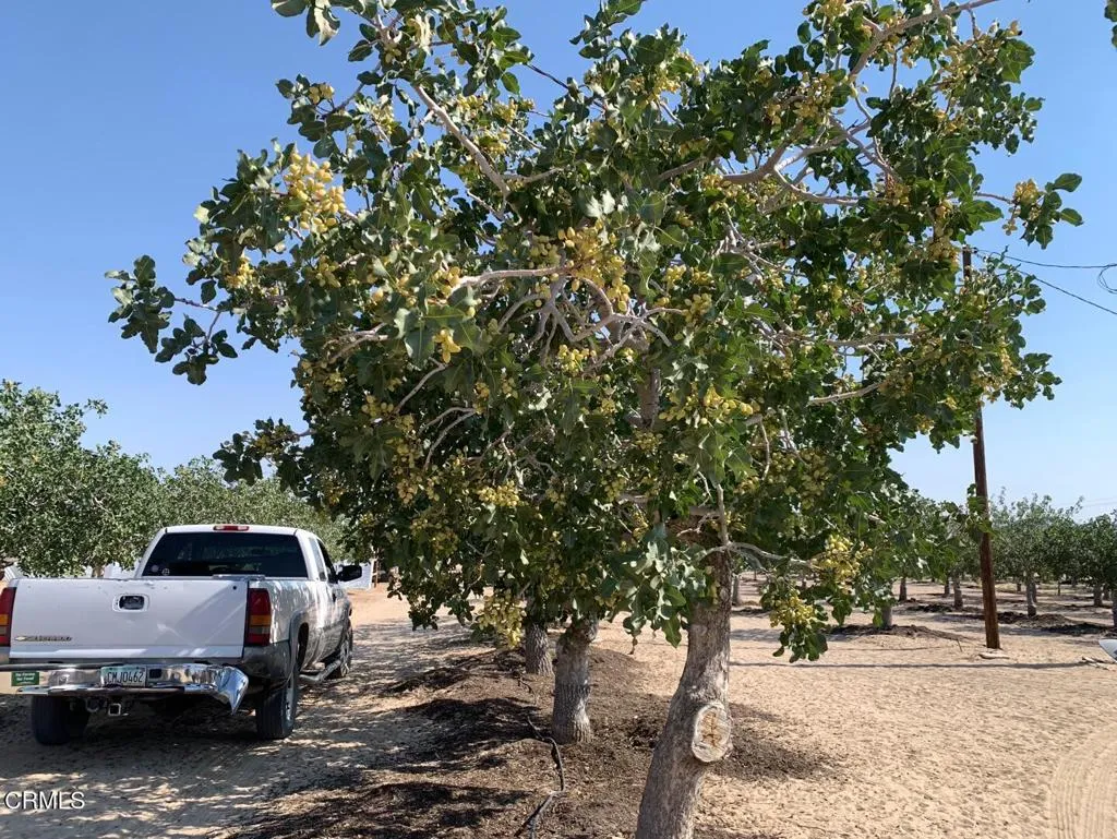 10080 Santa Fe Fire Road, Lucerne Valley, California 92356 home-pic-35