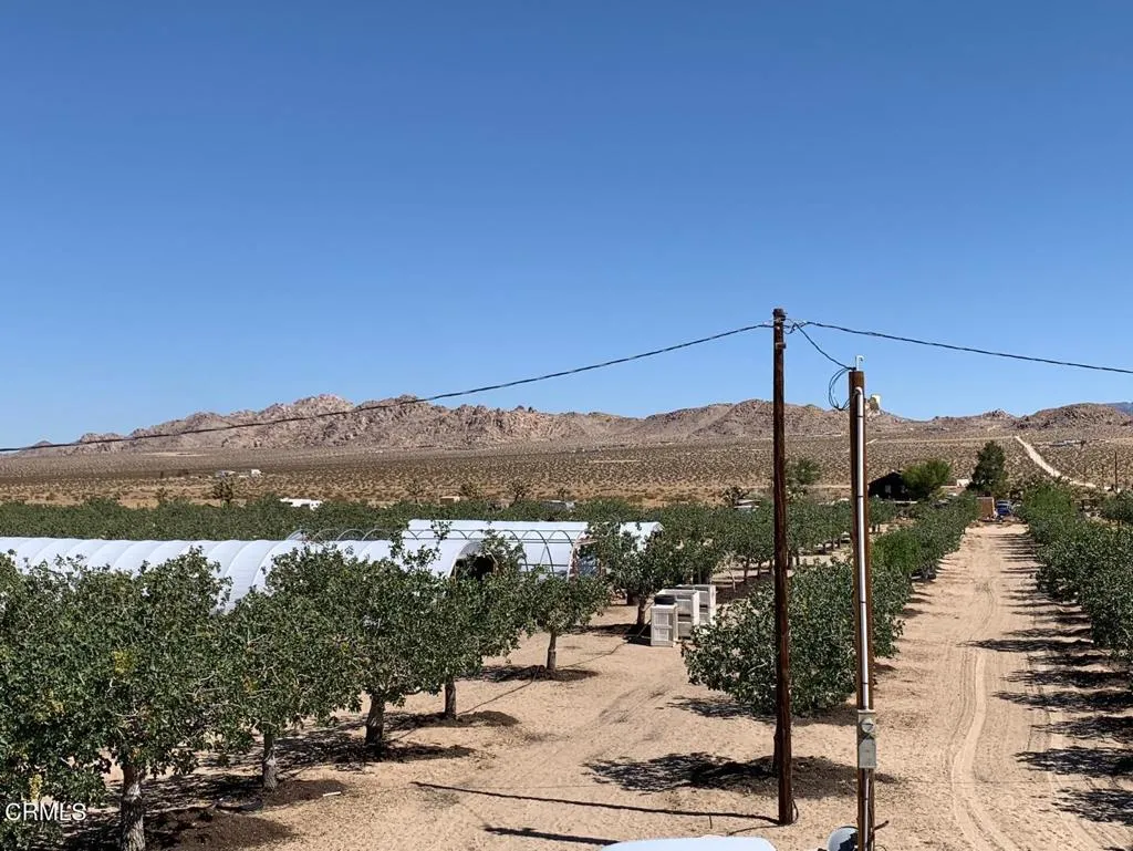 10080 Santa Fe Fire Road, Lucerne Valley, California 92356 home-pic-16