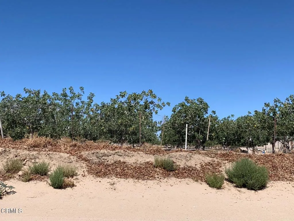 10080 Santa Fe Fire Road, Lucerne Valley, California 92356 home-pic-32