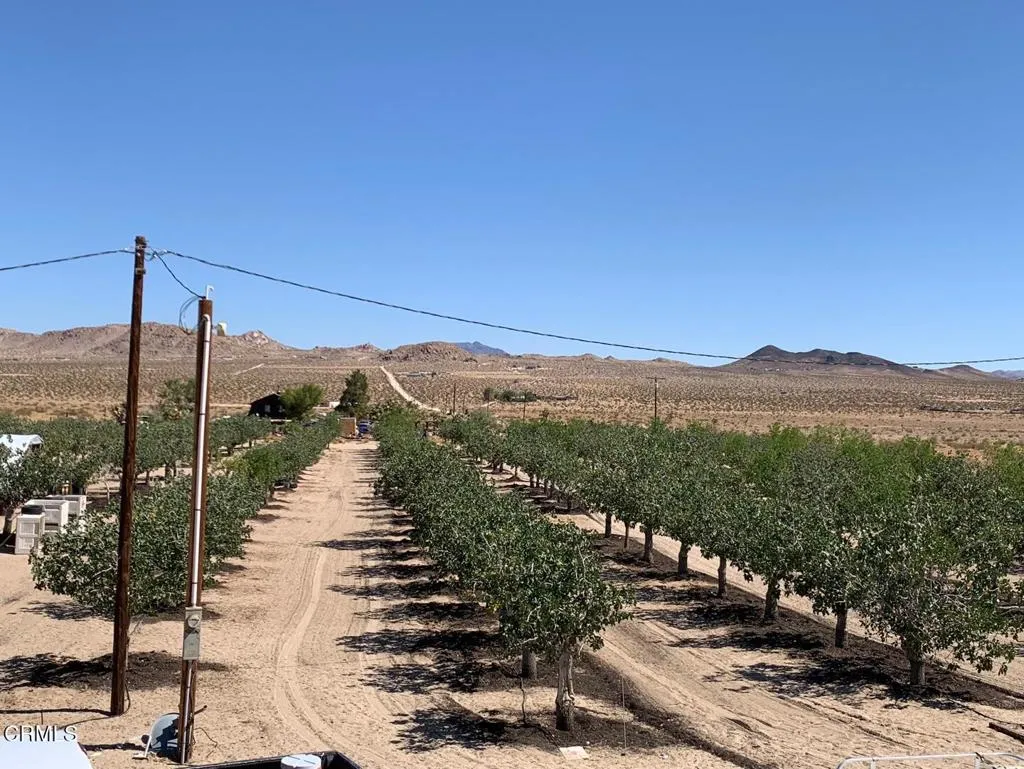 10080 Santa Fe Fire Road, Lucerne Valley, California 92356 home-pic-15