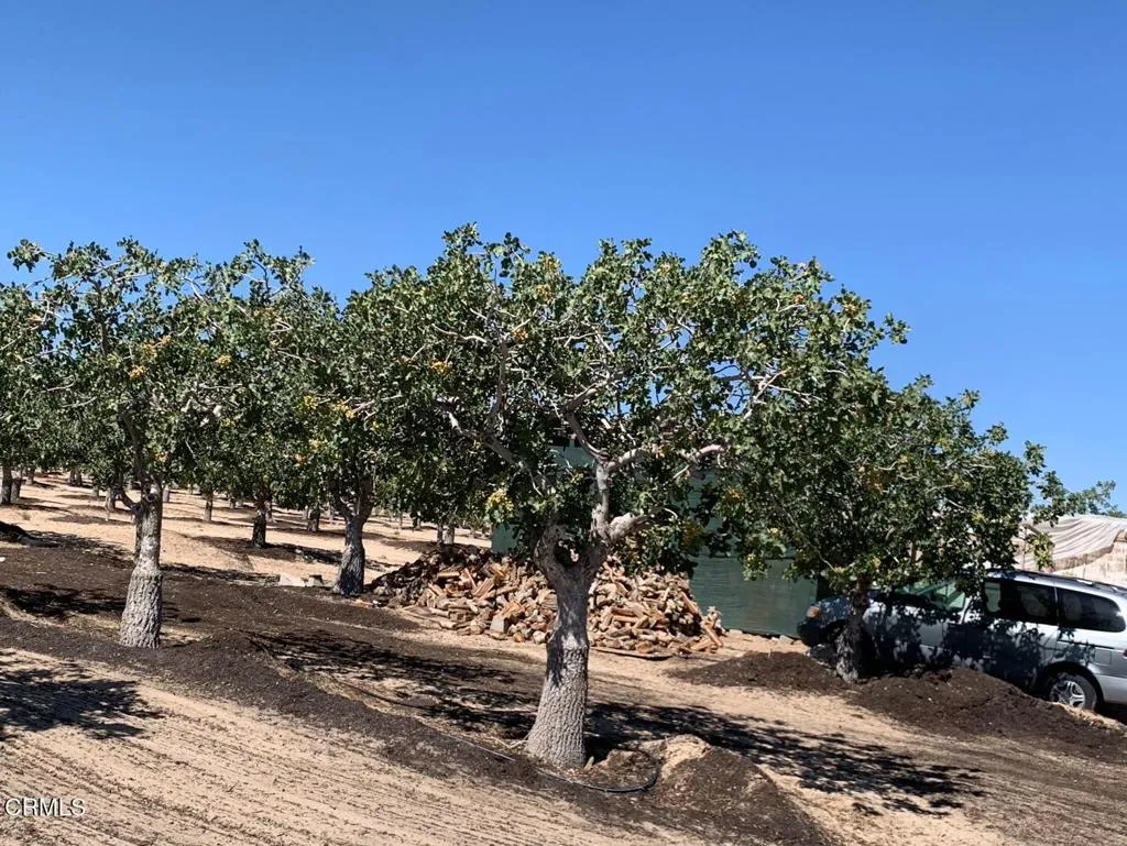 10080 Santa Fe Fire Road, Lucerne Valley, California 92356 home-pic-31