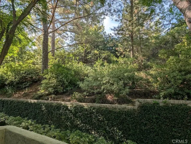 Patio View