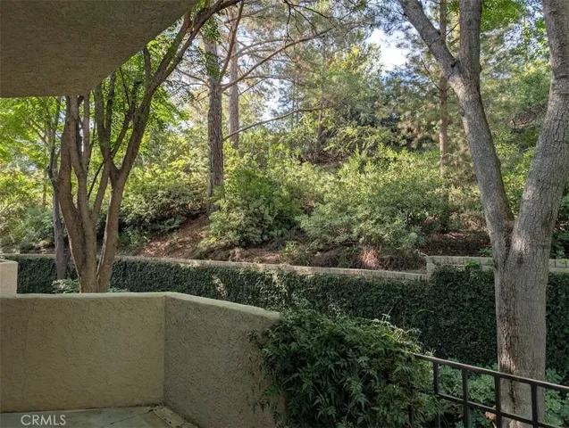 Patio View