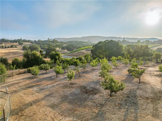 On the grounds of the property, you'll discover a variety of mature heirloom fruit trees, including apples, pears, peaches, figs, cherries, citrus, and pomegranates.