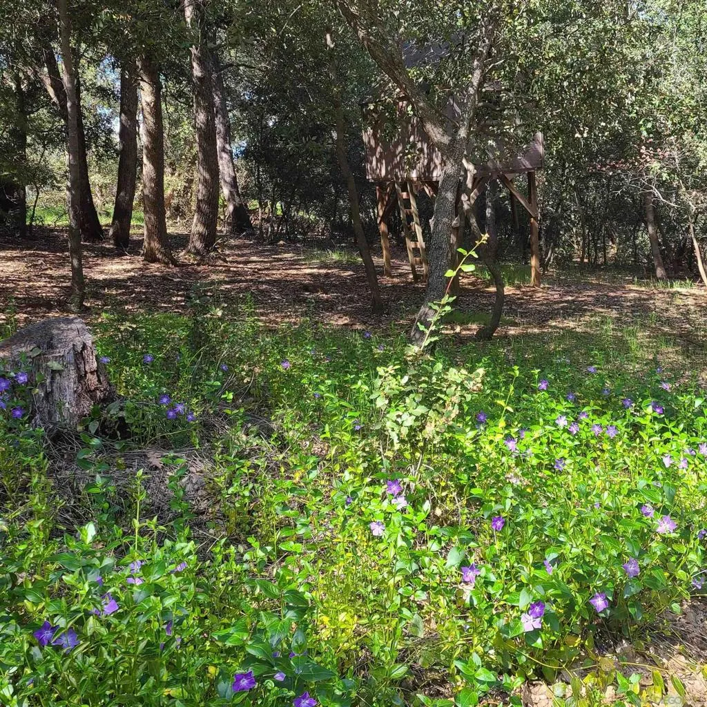 4470 Pine Ridge Avenue, Julian, California 92036 home-pic-34