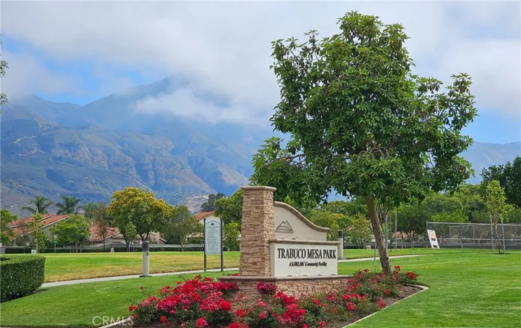 Parks, Parks and more parks.