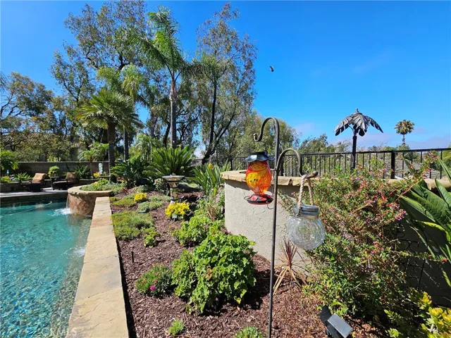 Birdfeeders for the hummingbirds