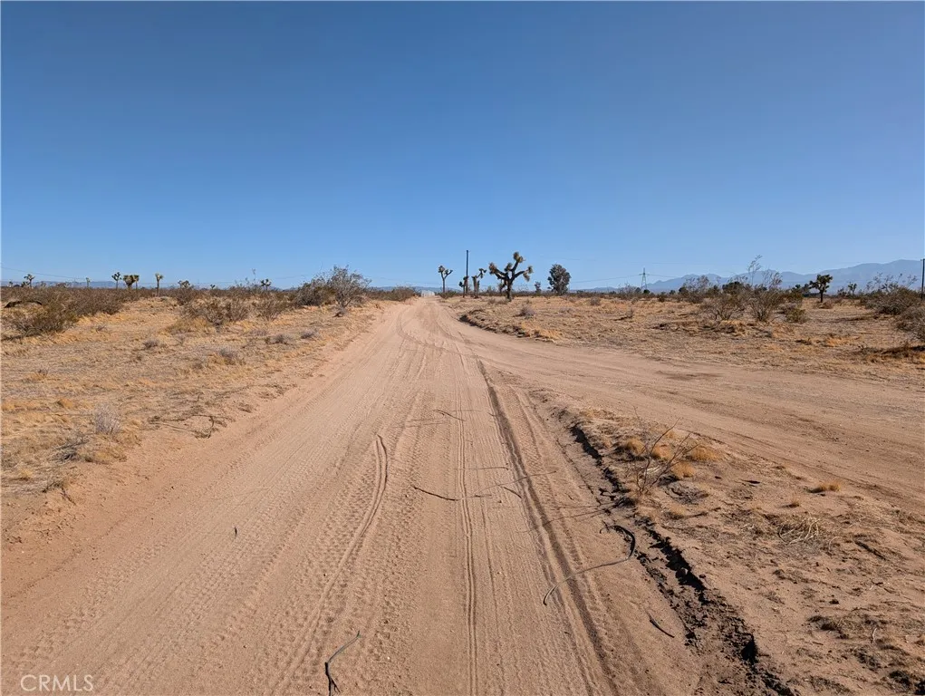 view to the south from east side of the lot