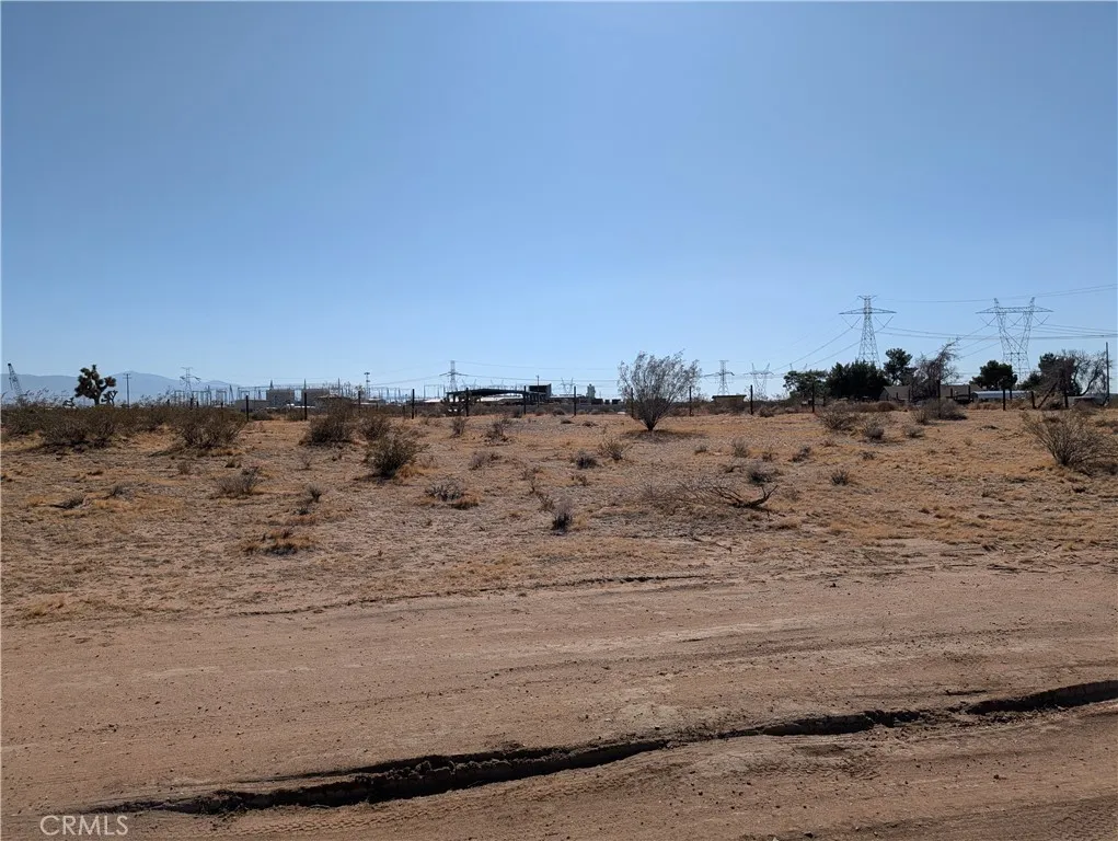 view to the west from the east side of the lot
