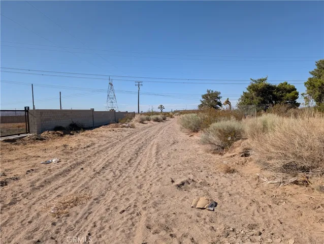 view to the north from the west side of the lot with