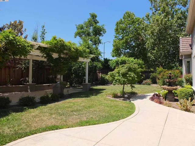 Backyard - View 2