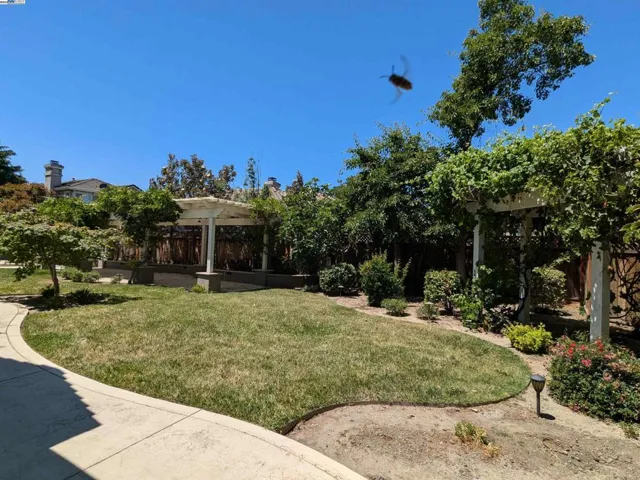 Backyard - View 3